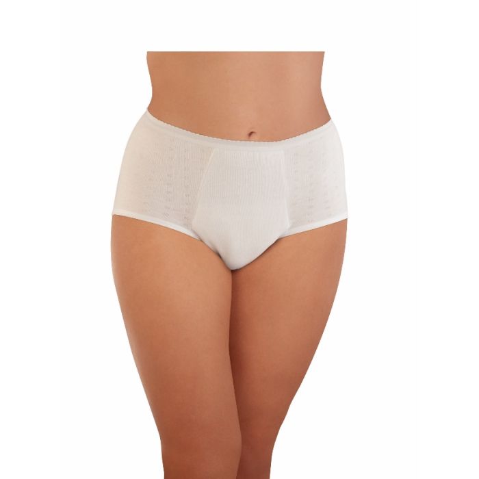 Buy Panty Women Sale 12pcs Freeshipping Suin online
